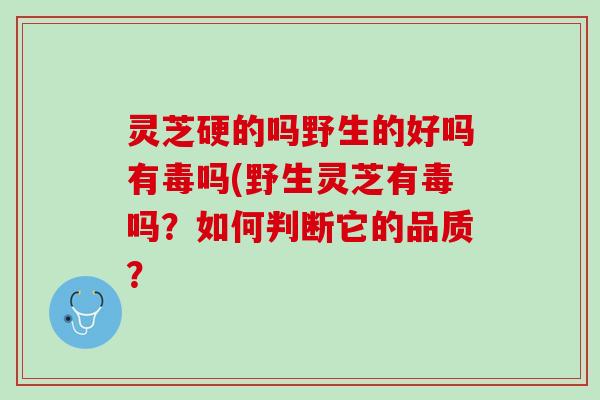 灵芝硬的吗野生的好吗有毒吗(野生灵芝有毒吗？如何判断它的品质？