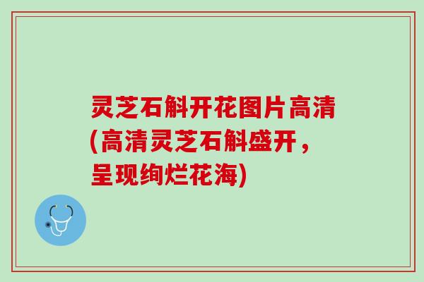 灵芝石斛开花图片高清(高清灵芝石斛盛开，呈现绚烂花海)