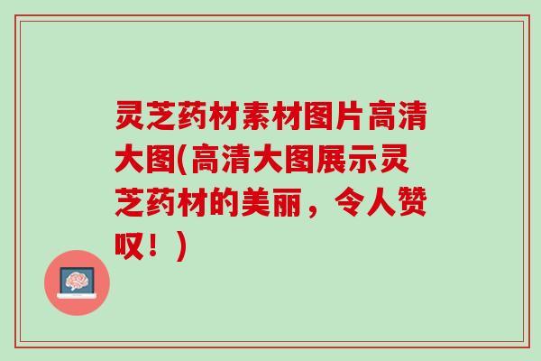 灵芝药材素材图片高清大图(高清大图展示灵芝药材的美丽，令人赞叹！)