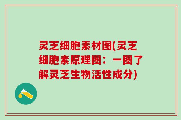 灵芝细胞素材图(灵芝细胞素原理图：一图了解灵芝生物活性成分)