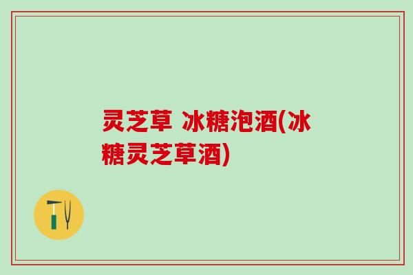 灵芝草 冰糖泡酒(冰糖灵芝草酒)