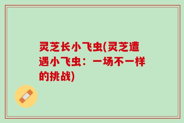 灵芝长小飞虫(灵芝遭遇小飞虫：一场不一样的挑战)