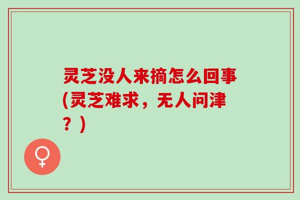 灵芝没人来摘怎么回事(灵芝难求,无人问津?) 灵芝没人来摘怎么回事(灵芝难求,无人问津?)