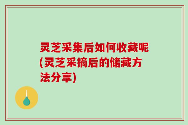 灵芝采集后如何收藏呢(灵芝采摘后的储藏方法分享)