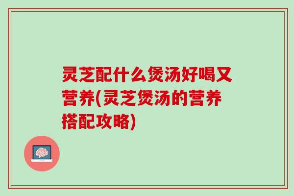 灵芝配什么煲汤好喝又营养(灵芝煲汤的营养搭配攻略)