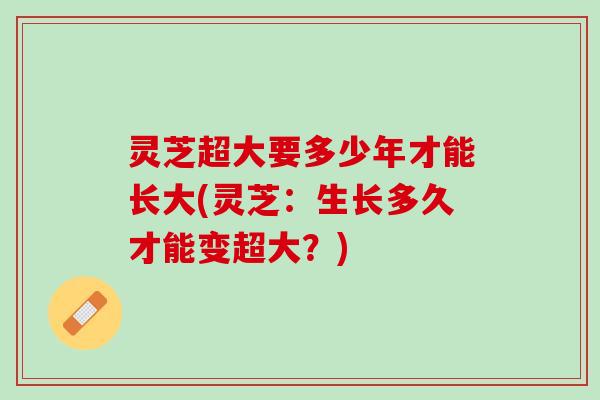 灵芝超大要多少年才能长大(灵芝:生长多久才能变超大?) 灵芝超大要多少年才能长大(灵芝:生长多久才能变超大?)