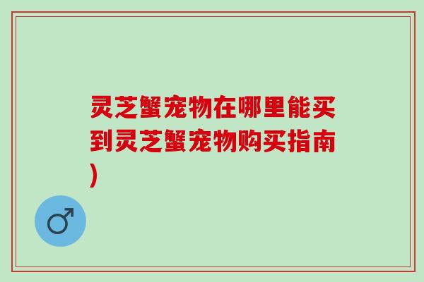 灵芝蟹宠物在哪里能买到灵芝蟹宠物购买指南)