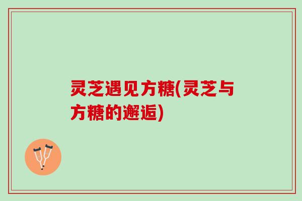 灵芝遇见方糖(灵芝与方糖的邂逅)
