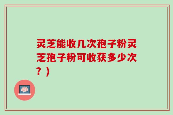 灵芝能收几次孢子粉灵芝孢子粉可收获多少次？)
