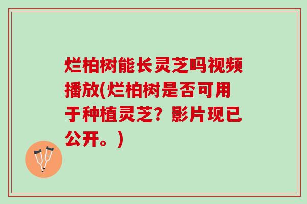 烂柏树能长灵芝吗视频播放(烂柏树是否可用于种植灵芝？影片现已公开。)