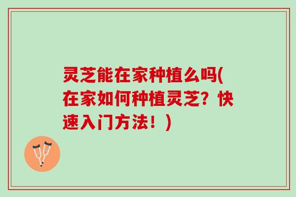 灵芝能在家种植么吗(在家如何种植灵芝?快速入门方法!) 灵芝能在家种植么吗(在家如何种植灵芝?快速入门方法!)