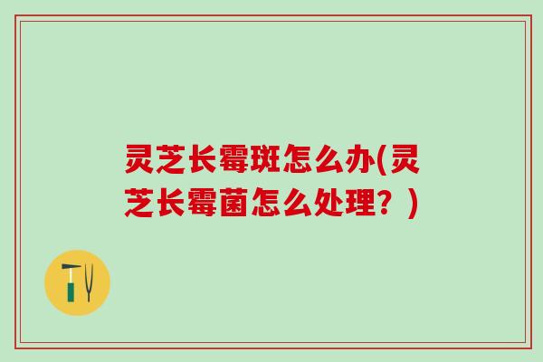 灵芝长霉斑怎么办(灵芝长霉菌怎么处理？)