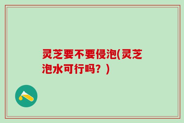 灵芝要不要侵泡(灵芝泡水可行吗？)