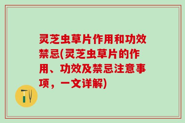 灵芝虫草片作用和功效禁忌(灵芝虫草片的作用、功效及禁忌注意事项，一文详解)
