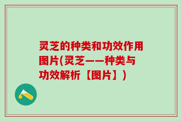 灵芝的种类和功效作用图片(灵芝——种类与功效解析【图片】)