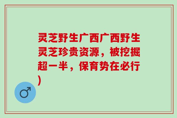 灵芝野生广西广西野生灵芝珍贵资源，被挖掘超一半，保育势在必行)