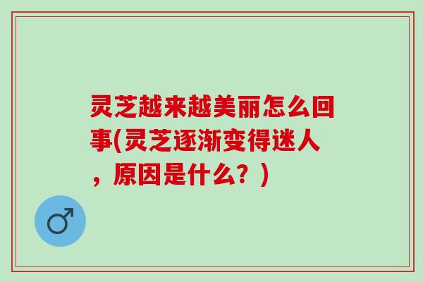 灵芝越来越美丽怎么回事(灵芝逐渐变得迷人，原因是什么？)