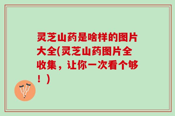 灵芝山药是啥样的图片大全(灵芝山药图片全收集，让你一次看个够！)
