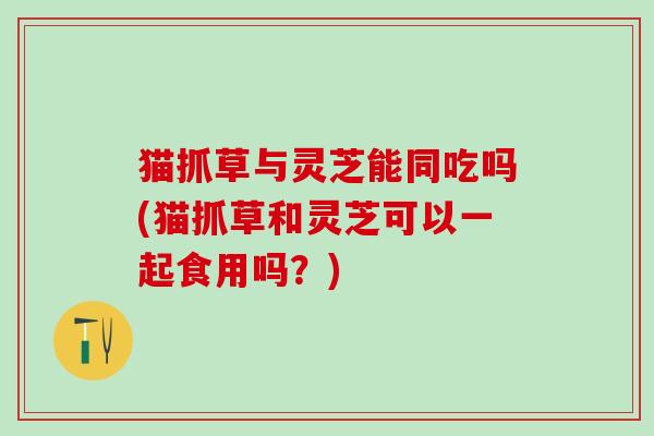 猫抓草与灵芝能同吃吗(猫抓草和灵芝可以一起食用吗?) 猫抓草与灵芝能同吃吗(猫抓草和灵芝可以一起食用吗?)