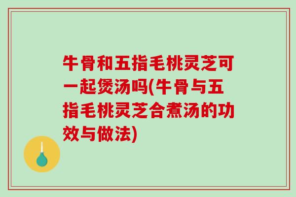 牛骨和五指毛桃灵芝可一起煲汤吗(牛骨与五指毛桃灵芝合煮汤的功效与做法)