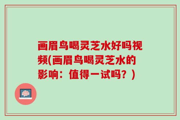 画眉鸟喝灵芝水好吗视频(画眉鸟喝灵芝水的影响：值得一试吗？)