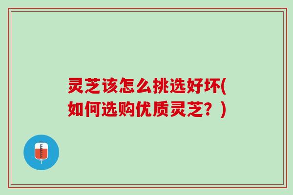 灵芝该怎么挑选好坏(如何选购优质灵芝？)
