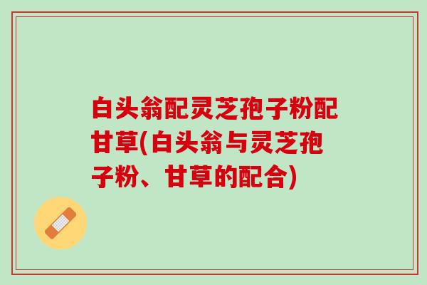 白头翁配灵芝孢子粉配甘草(白头翁与灵芝孢子粉、甘草的配合) 白头翁配灵芝孢子粉配甘草(白头翁与灵芝孢子粉、甘草的配合)