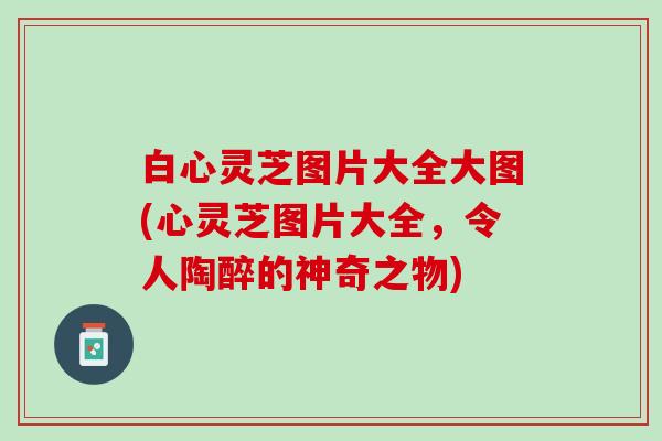 白心灵芝图片大全大图(心灵芝图片大全，令人陶醉的神奇之物)