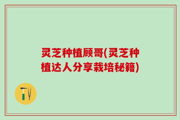 灵芝种植顾哥(灵芝种植达人分享栽培秘籍)