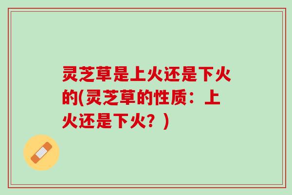 灵芝草是上火还是下火的(灵芝草的性质：上火还是下火？)