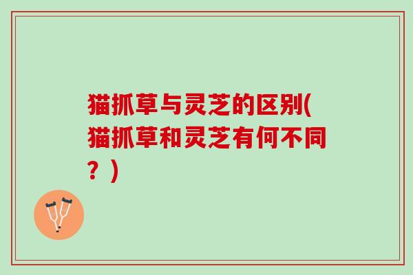 猫抓草与灵芝的区别(猫抓草和灵芝有何不同？)