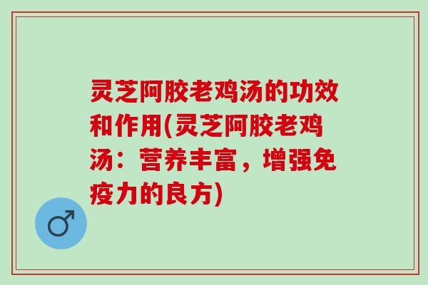 灵芝阿胶老鸡汤的功效和作用(灵芝阿胶老鸡汤：营养丰富，增强免疫力的良方)