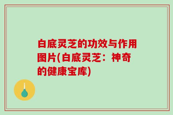 白底灵芝的功效与作用图片(白底灵芝：神奇的健康宝库)