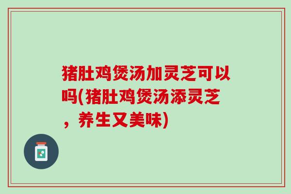 猪肚鸡煲汤加灵芝可以吗(猪肚鸡煲汤添灵芝，养生又美味)