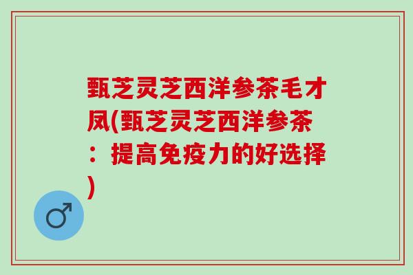 甄芝灵芝西洋参茶毛才凤(甄芝灵芝西洋参茶:提高免疫力的好选择) 甄芝灵芝西洋参茶毛才凤(甄芝灵芝西洋参茶:提高免疫力的好选择)