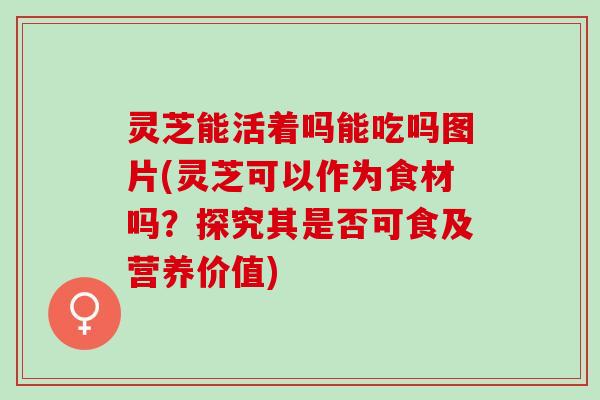 灵芝能活着吗能吃吗图片(灵芝可以作为食材吗？探究其是否可食及营养价值)