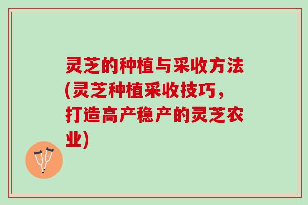 灵芝的种植与采收方法(灵芝种植采收技巧，打造高产稳产的灵芝农业)