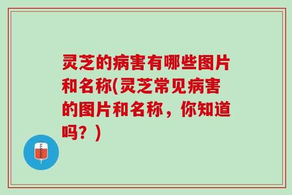 灵芝的病害有哪些图片和名称(灵芝常见病害的图片和名称，你知道吗？)