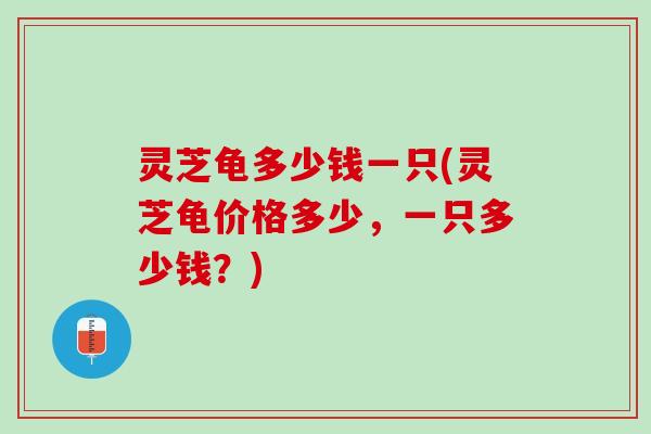 灵芝龟多少钱一只(灵芝龟价格多少，一只多少钱？)