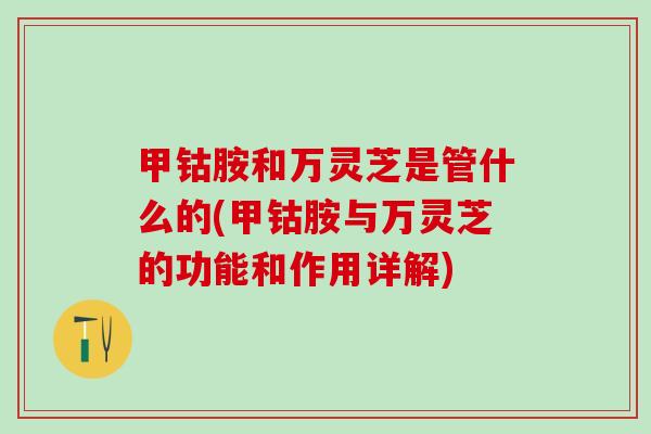 甲钴胺和万灵芝是管什么的(甲钴胺与万灵芝的功能和作用详解)