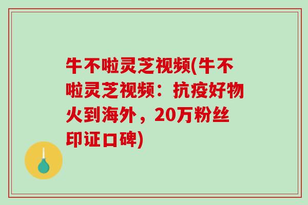 牛不啦灵芝视频(牛不啦灵芝视频：抗疫好物火到海外，20万粉丝印证口碑)