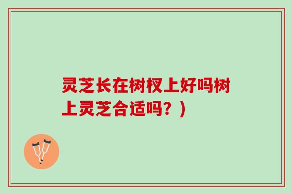 灵芝长在树杈上好吗树上灵芝合适吗？)