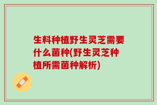 生料种植野生灵芝需要什么菌种(野生灵芝种植所需菌种解析) 生料种植野生灵芝需要什么菌种(野生灵芝种植所需菌种解析)