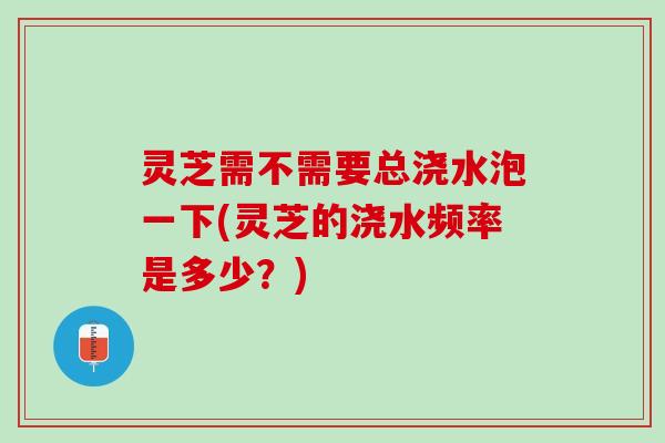 灵芝需不需要总浇水泡一下(灵芝的浇水频率是多少？)