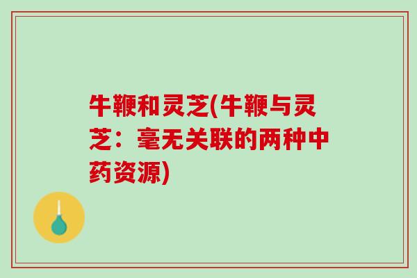 牛鞭和灵芝(牛鞭与灵芝：毫无关联的两种中药资源)