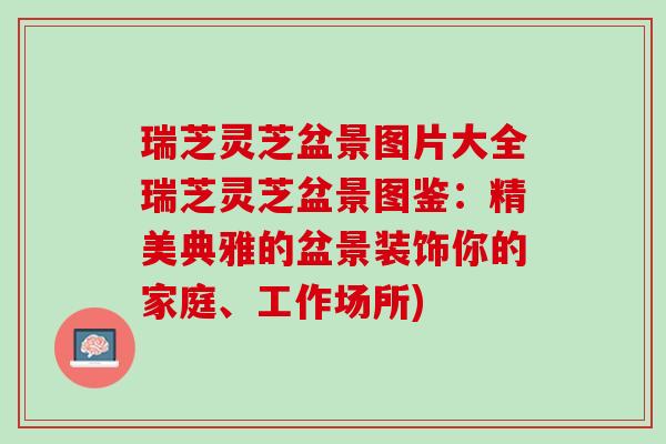 瑞芝灵芝盆景图片大全瑞芝灵芝盆景图鉴：精美典雅的盆景装饰你的家庭、工作场所)