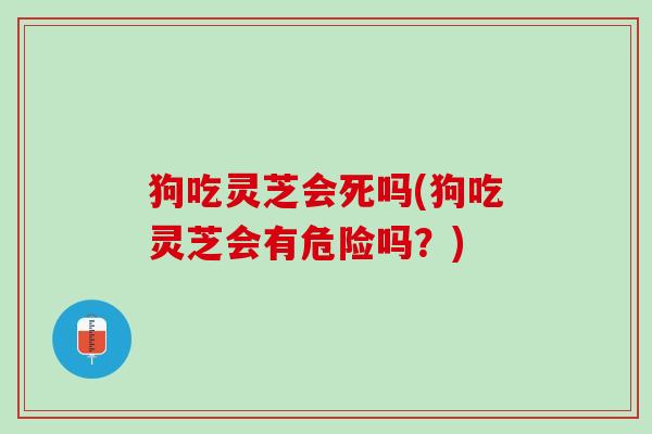 狗吃灵芝会死吗(狗吃灵芝会有危险吗？)