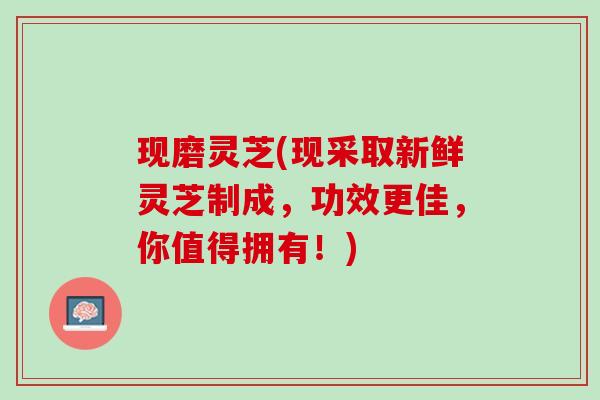 现磨灵芝(现采取新鲜灵芝制成，功效更佳，你值得拥有！)