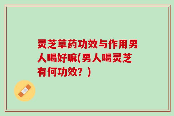 灵芝草药功效与作用男人喝好嘛(男人喝灵芝有何功效？)