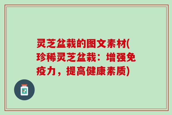 灵芝盆栽的图文素材(珍稀灵芝盆栽：增强免疫力，提高健康素质)